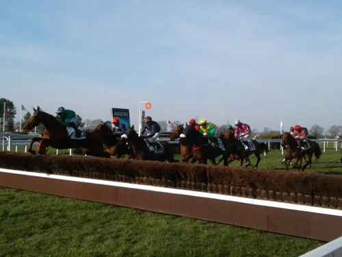 Hippisme : nos préférés pour ce samedi 11 décembre